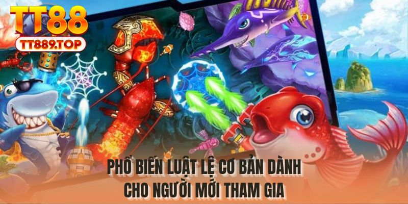 Phổ biến luật lệ cơ bản dành cho người mới tham gia